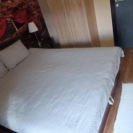 Apartment Vila Sandra Zlatibor Exteriér fotografie